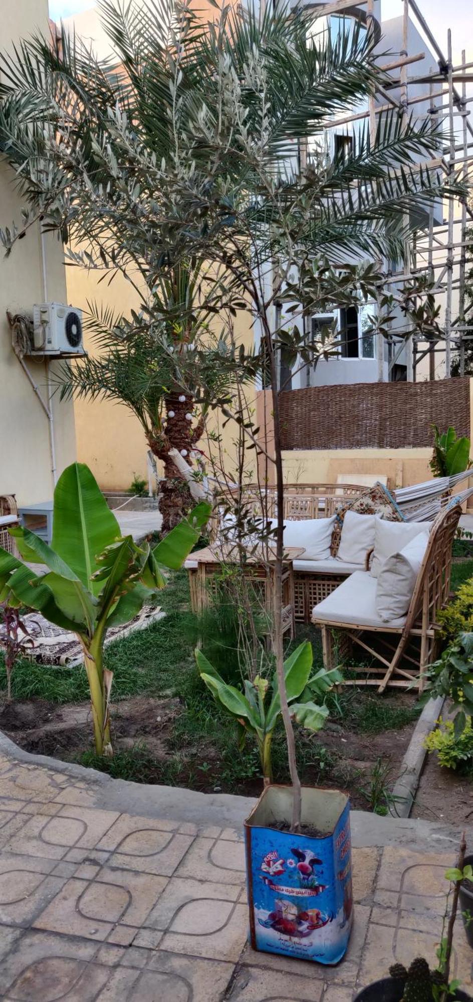 Anna & Snake Apartament Hurghada