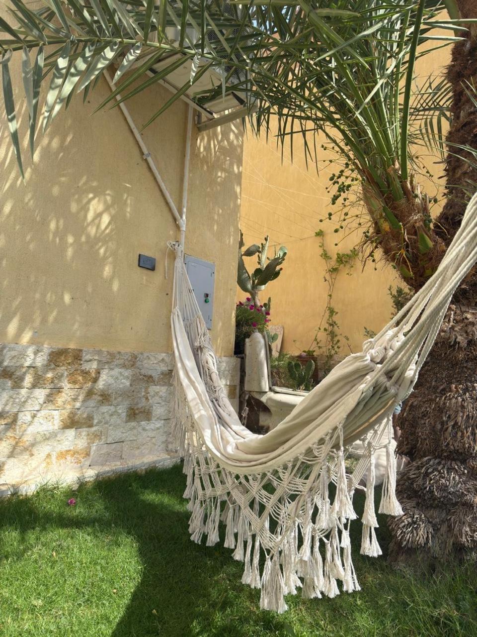 Anna & Snake * Hurghada
